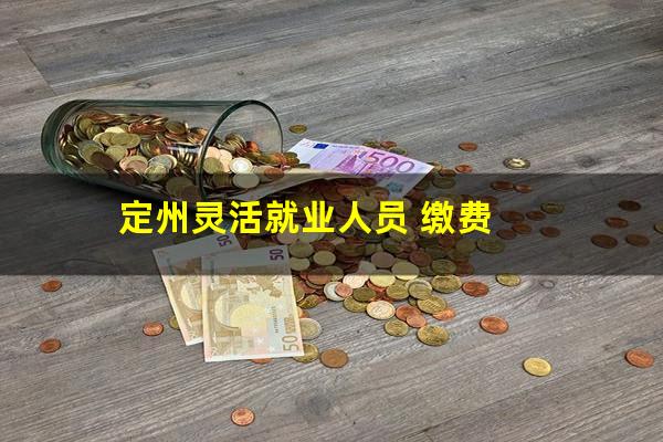 定州灵活就业人员 缴费